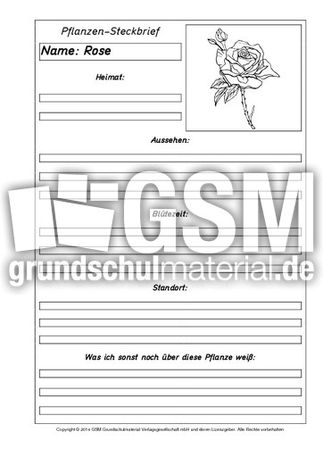 Pflanzensteckbriefvorlage-Rose-SW.pdf